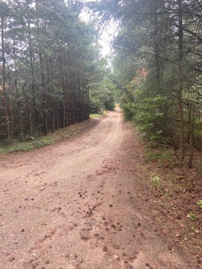 Domek Nad Jeziorem Kamien 2A Kowalewo Bagian luar foto